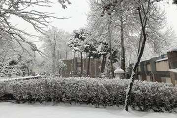 زمستان در دانشگاه